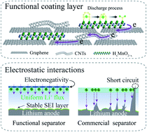 Graphical abstract: An “electronegative” bifunctional coating layer: simultaneous regulation of polysulfide and Li-ion adsorption sites for long-cycling and “dendrite-free” Li–S batteries