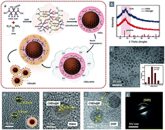 Graphical abstract: Efficient perovskite solar cells enabled by ion-modulated grain boundary passivation with a fill factor exceeding 84%