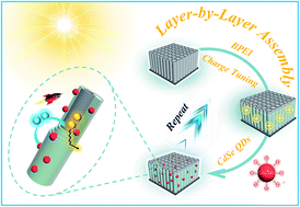 Graphical abstract: Charge transfer modulation in layer-by-layer-assembled multilayered photoanodes for solar water oxidation