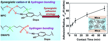 Graphical abstract: A wet adhesion strategy via synergistic cation–π and hydrogen bonding interactions of antifouling zwitterions and mussel-inspired binding moieties