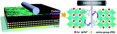 Graphical abstract: Polyethyleneimine-functionalized carbon nanotubes as an interlayer to bridge perovskite/carbon for all inorganic carbon-based perovskite solar cells