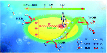 Graphical abstract: Hole dynamic acceleration over CdSO nanoparticles for high-efficiency solar hydrogen production with urea photolysis