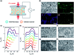 Graphical abstract: Understanding the effects of chemical reactions at the cathode–electrolyte interface in sulfide based all-solid-state batteries