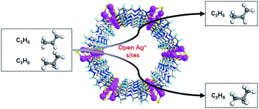 Graphical abstract: Construction of a thiourea-based metal–organic framework with open Ag+ sites for the separation of propene/propane mixtures