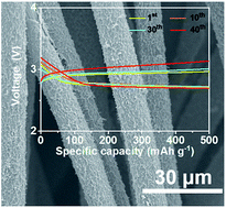 Graphical abstract: Free-standing N,Co-codoped TiO2 nanoparticles for LiO2-based Li–O2 batteries