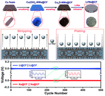 Graphical abstract: Alkaliphilic Cu2O nanowires on copper foam for hosting Li/Na as ultrastable alkali-metal anodes