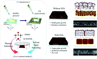 Graphical abstract: The synergistic effect of cooperating solvent vapor annealing for high-efficiency planar inverted perovskite solar cells