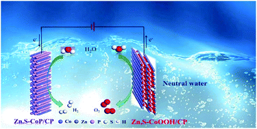 Graphical abstract: Callistemon-like Zn and S codoped CoP nanorod clusters as highly efficient electrocatalysts for neutral-pH overall water splitting