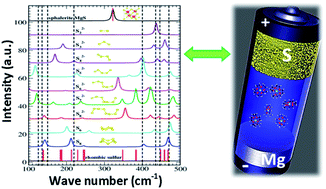 Graphical abstract: Insights into the electrochemical processes of rechargeable magnesium–sulfur batteries with a new cathode design