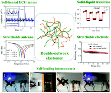 Graphical abstract: Autonomous self-healing, self-adhesive, highly conductive composites based on a silver-filled polyborosiloxane/polydimethylsiloxane double-network elastomer