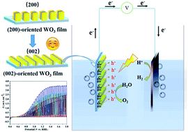Graphical abstract: Sandwich structured WO3 nanoplatelets for highly efficient photoelectrochemical water splitting