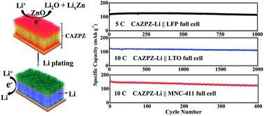 Graphical abstract: 3D lithiophilic–lithiophobic–lithiophilic dual-gradient porous skeleton for highly stable lithium metal anode