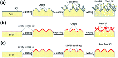 Graphical abstract: A self-healing interface on lithium metal with lithium difluoro (bisoxalato) phosphate for enhanced lithium electrochemistry