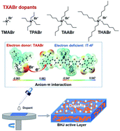 Graphical abstract: A universal approach for optimizing charge extraction in electron transporting layer-free organic solar cells via Lewis base doping