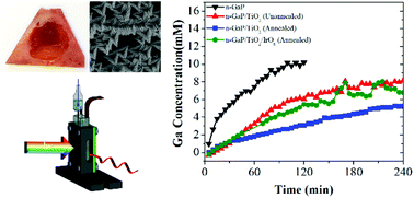 Graphical abstract: Investigation of the photocorrosion of n-GaP photoanodes in acid with in situ UV-Vis spectroscopy