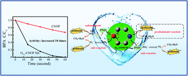 Graphical abstract: l-Ascorbic acid oxygen-induced micro-electronic fields over metal-free polyimide for peroxymonosulfate activation to realize efficient multi-pathway destruction of contaminants