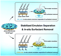 Graphical abstract: A dual functional Janus membrane combining superwettability with electrostatic force for controllable anionic/cationic emulsion separation and in situ surfactant removal