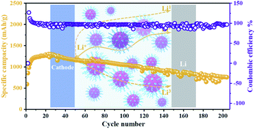 Graphical abstract: Realization of the Li+ domain diffusion effect via constructing molecular brushes on the LLZTO surface and its application in all-solid-state lithium batteries