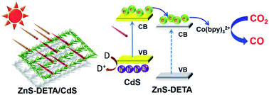 Graphical abstract: Branch-like ZnS–DETA/CdS hierarchical heterostructures as an efficient photocatalyst for visible light CO2 reduction