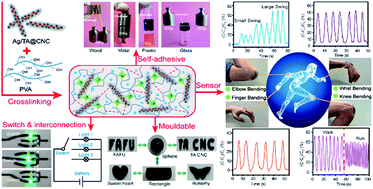 Graphical abstract: Natural skin-inspired versatile cellulose biomimetic hydrogels