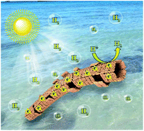 Graphical abstract: Three-dimensional assemblies of carbon nitride tubes as nanoreactors for enhanced photocatalytic hydrogen production