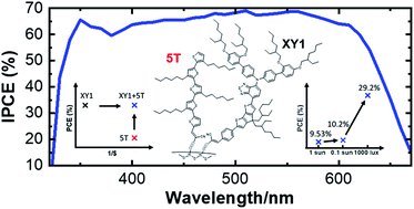 Graphical abstract: Synergy of co-sensitizers in a copper bipyridyl redox system for efficient and cost-effective dye-sensitized solar cells in solar and ambient light