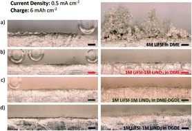 Graphical abstract: Separator-free and concentrated LiNO3 electrolyte cells enable uniform lithium electrodeposition