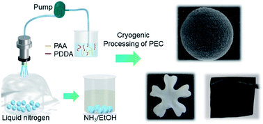 Graphical abstract: Tardigrade inspired polyelectrolyte complexation and functional materials