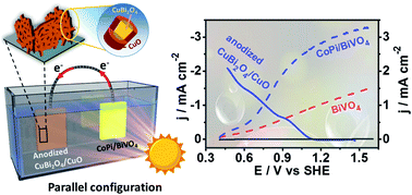 Graphical abstract: Fabricating highly efficient heterostructured CuBi2O4 photocathodes for unbiased water splitting