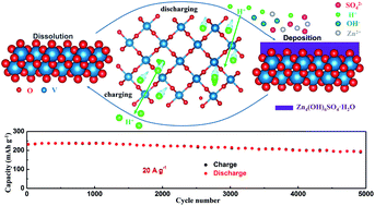 Graphical abstract: A durable VO2(M)/Zn battery with ultrahigh rate capability enabled by pseudocapacitive proton insertion