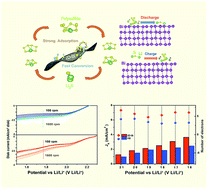 Graphical abstract: Ultrathin bismuth nanosheets as an efficient polysulfide catalyst for high performance lithium–sulfur batteries