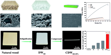 Graphical abstract: Hydrogen-bonding-induced assembly of aligned cellulose nanofibers into ultrastrong and tough bulk materials