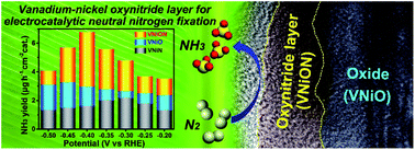 Graphical abstract: A vanadium–nickel oxynitride layer for enhanced electrocatalytic nitrogen fixation in neutral media