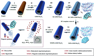 Graphical abstract: 3D hierarchical tubular micromotors with highly selective recognition and capture for antibiotics