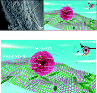 Graphical abstract: Structure-designed synthesis of 3D MoS2 anchored on ionic liquid modified rGO–CNTs inspired by a honeycomb for excellent lithium storage