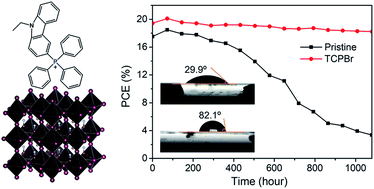 Graphical abstract: Surface passivation of perovskite thin films by phosphonium halides for efficient and stable solar cells