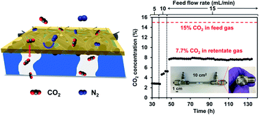 Graphical abstract: Novel carbon-based separation membranes composed of integrated zero- and one-dimensional nanomaterials