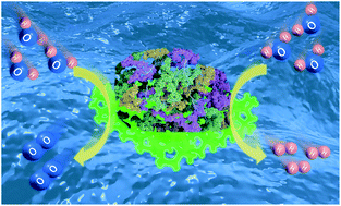 Graphical abstract: Construction of an iron and oxygen co-doped nickel phosphide based on MOF derivatives for highly efficient and long-enduring water splitting