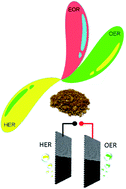 Graphical abstract: Trifunctional catalytic activities of trimetallic FeCoNi alloy nanoparticles embedded in a carbon shell for efficient overall water splitting