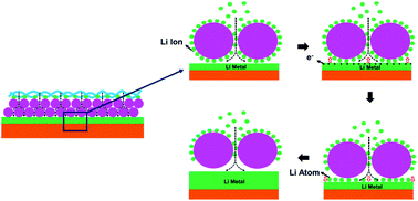 Graphical abstract: PAN/PI functional double-layer coating for dendrite-free lithium metal anodes