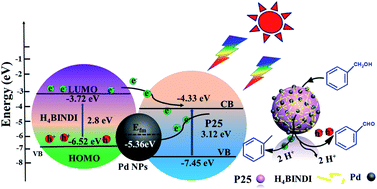 Graphical abstract: Visible-light-driven selective alcohol dehydrogenation and hydrogenolysis via the Mott Schottky effect