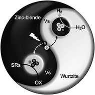 Graphical abstract: Visible-light-driven photocatalytic H2 evolution over CdZnS nanocrystal solid solutions: interplay of twin structures, sulfur vacancies and sacrificial agents