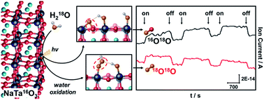 Graphical abstract: Unravelling the water oxidation mechanism on NaTaO3-based photocatalysts