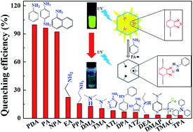 Graphical abstract: A thiadiazole-based covalent triazine framework nanosheet for highly selective and sensitive primary aromatic amine detection among various amines
