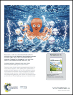 Graphical abstract: Back cover