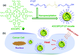 Graphical abstract: Novel phthalocyanine-based polymeric micelles with high near-infrared photothermal conversion efficiency under 808 nm laser irradiation for in vivo cancer therapy