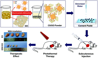 Graphical abstract: Tricalcium silicate/graphene oxide bone cement with photothermal properties for tumor ablation
