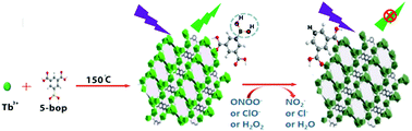 Graphical abstract: Nanoscaled luminescent terbium metal–organic frameworks for measuring and scavenging reactive oxygen species in living cells