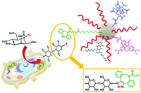 Graphical abstract: Multifunctional Gd-based mesoporous silica nanotheranostic for anticancer drug delivery