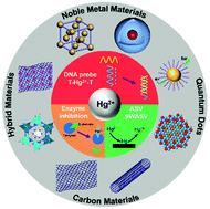 Graphical abstract: Electrochemical mercury biosensors based on advanced nanomaterials